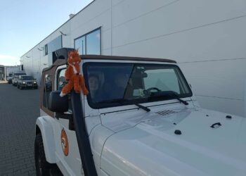 Gorzowianie gonią lisa! Radio Zachód - Lubuskie