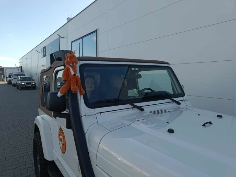 Gorzowianie gonią lisa! Radio Zachód - Lubuskie