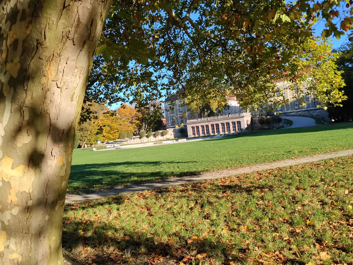 Wspólnie porządkowali park książęcy