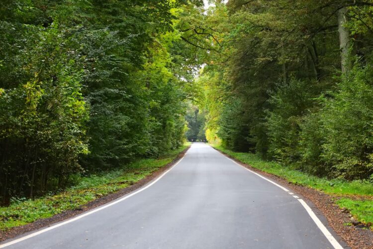 droga Nowa Sól - Stany