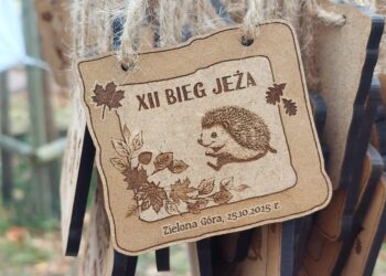 XII edycja Biegu Jeża w Zielonej Górze [ZDJĘCIA] Radio Zachód - Lubuskie