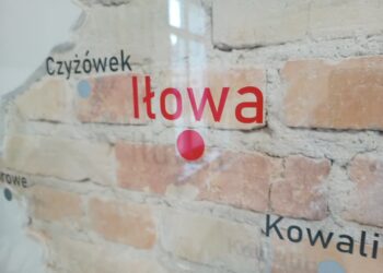 Rusza modernizacja chodnika wzdłuż Parku Dworskiego w Iłowej 15 fot. K.Gonera