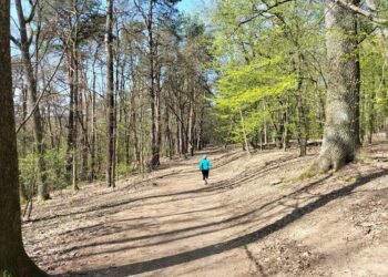 W weekend charytatywny bieg po Wzgórzach Piastowskich Radio Zachód - Lubuskie