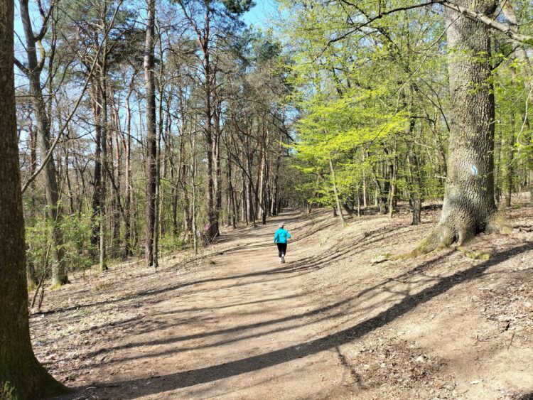 W weekend charytatywny bieg po Wzgórzach Piastowskich Radio Zachód - Lubuskie