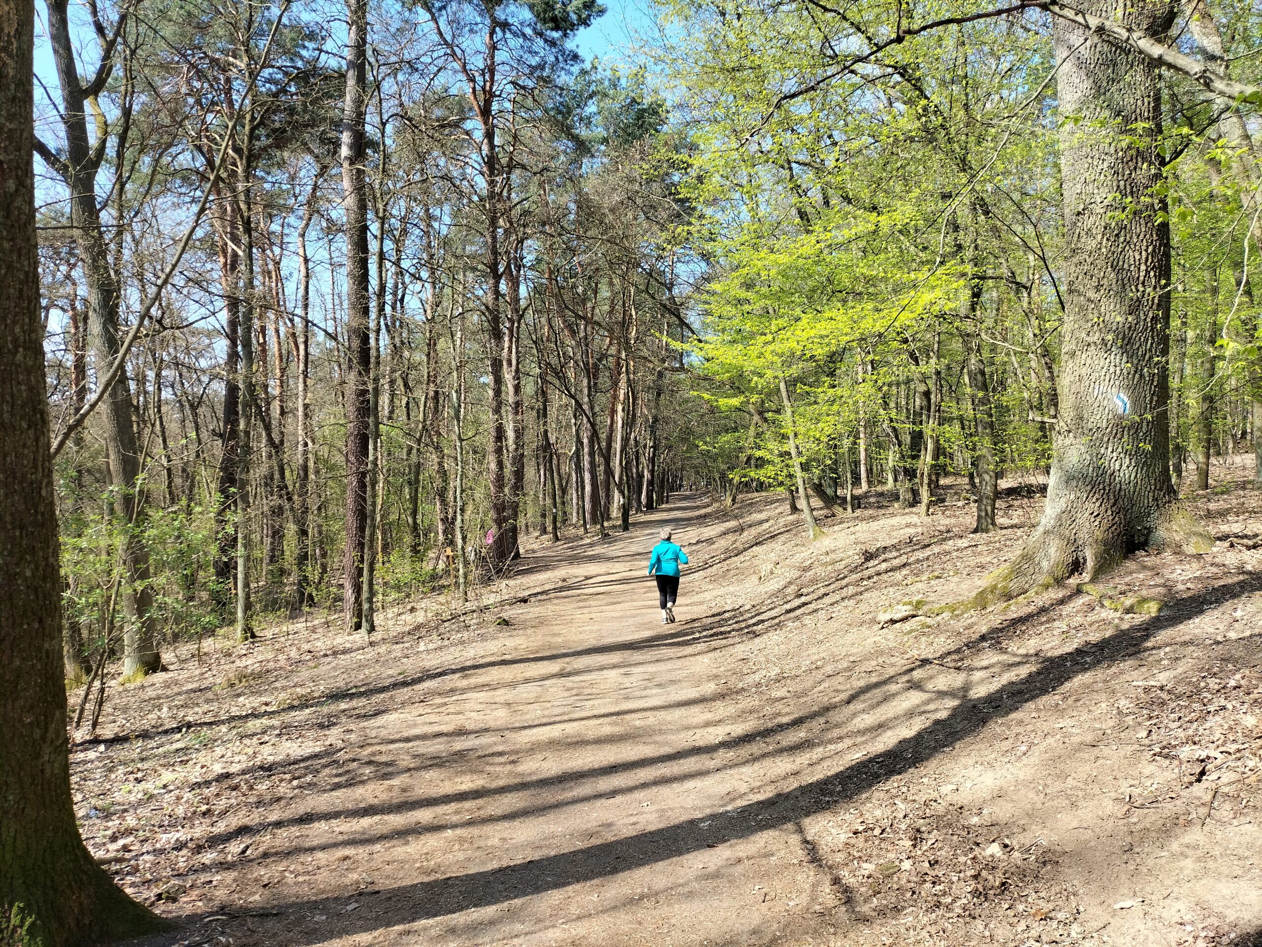 W weekend charytatywny bieg po Wzgórzach Piastowskich Radio Zachód - Lubuskie