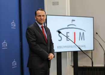 Radosław Sikorski (PAP/Albert Zawada)