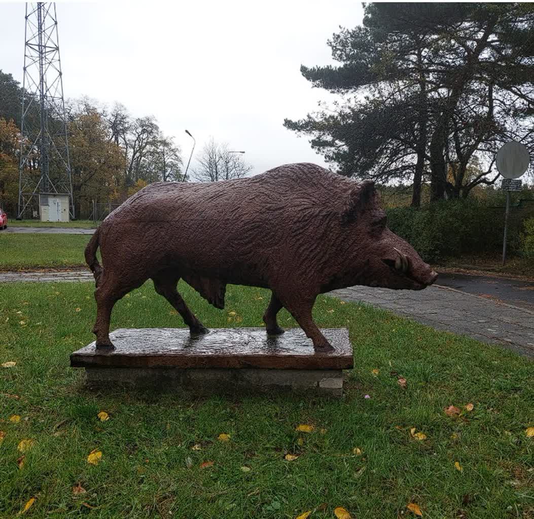 Początek sezonu łowieckiego. Myśliwi pojawią się w okolicznych lasach Radio Zachód - Lubuskie