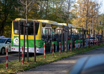W Zaduszki MZK Zielona Góra także wzmocni siatkę połączeń na cmentarze Radio Zachód - Lubuskie