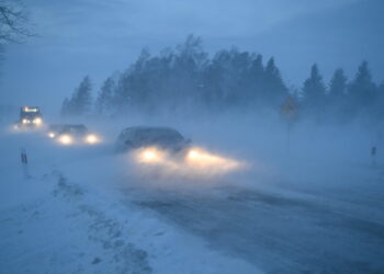 Fot. PAP/Darek Delmanowicz