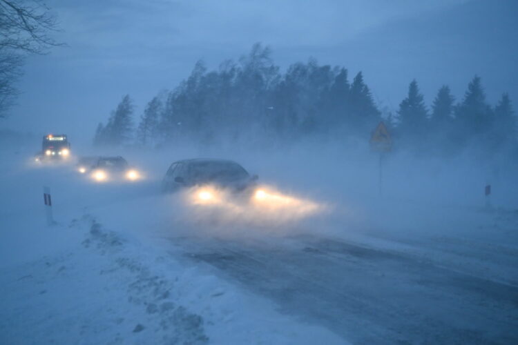 W nocy oblodzenia w 11 województwach, a w dwóch marznące deszcze powodujące gołoledź 9 Fot. PAP/Darek Delmanowicz
