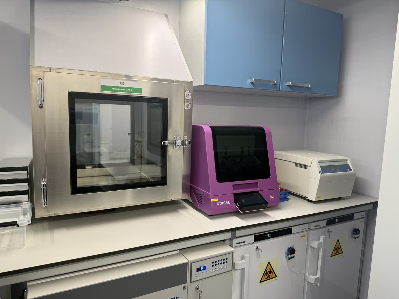 W Zielonej Górze powstało laboratorium do badania drobiu