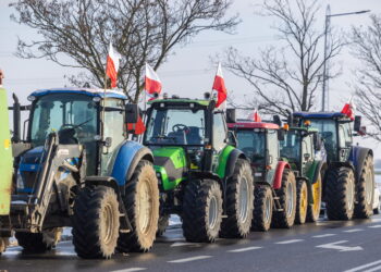 KOSZUTY PROTEST ROLNIKÓW NA DK NR 11. Fot. PAP/Paweł Jaskółka