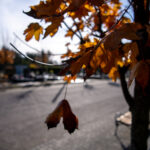 Fot. Krzysztof Filmanowicz