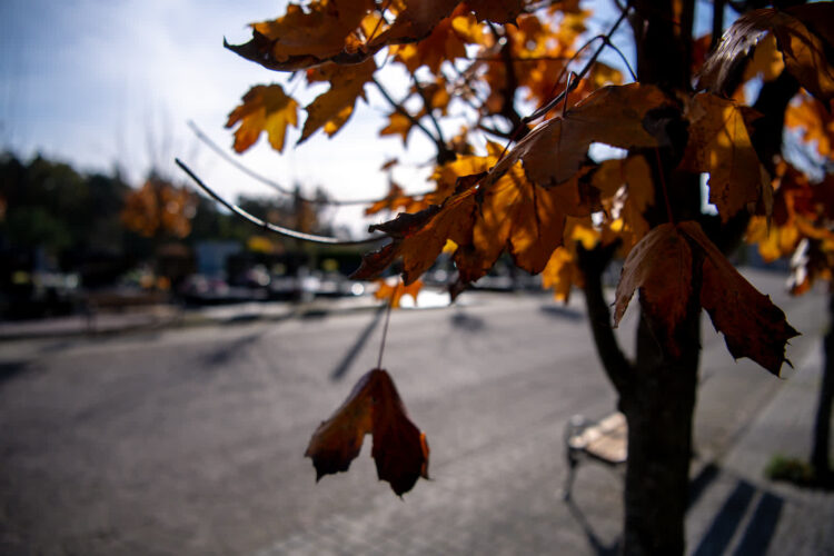 Fot. Krzysztof Filmanowicz