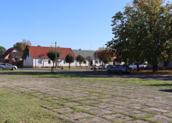 fot. Zosia Popielecka z Urzędu Miasta i Gmny w Babimoście