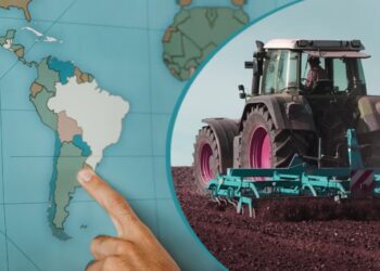 Polacy chcą zaskarżenia umowy z Mercosurem do TSUE 12 Fot. Kolaż zdjęć Freepik i Pixabay