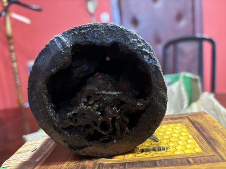 Wkrótce w Lubsku woda jak kryształ 9 fot. UM Lubsko