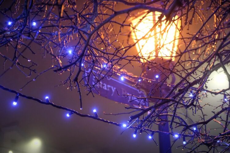 Karoca z końmi i świąteczna kapela Radio Zachód - Lubuskie