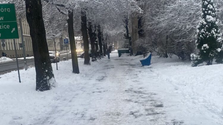 Gospodarstwa bez prądu po opadach śniegu w dolnośląskim. 9 Fot. Wałbrzych Moje Miasto/FB