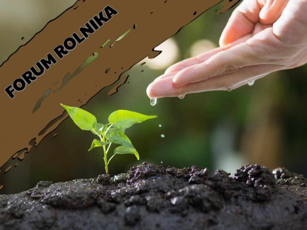 Forum Rolnika #13: Wsparcie na małe przetwórstwo w gospodarstwie rolnym (RHD, MOL, działalność gospodarcza) w interwencji I.10.6.1 Rozwój współpracy w ramach łańcucha wartości (dotacja) w gospodarstwie. Radio Zachód - Lubuskie