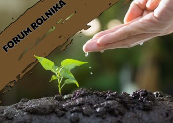 Forum Rolnika #13: Wsparcie na małe przetwórstwo w gospodarstwie rolnym (RHD, MOL, działalność gospodarcza) w interwencji I.10.6.1 Rozwój współpracy w ramach łańcucha wartości (dotacja) w gospodarstwie. Radio Zachód - Lubuskie