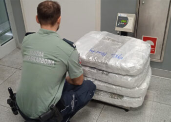 Fot. www.mazowieckie.kas.gov.pl