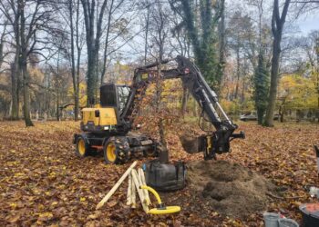 Sadzą drzewa. Łącznie będzie ich ponad 100 11 Sadzą drzewa. Łącznie będzie ich ponad 100 Radio Zachód - Lubuskie