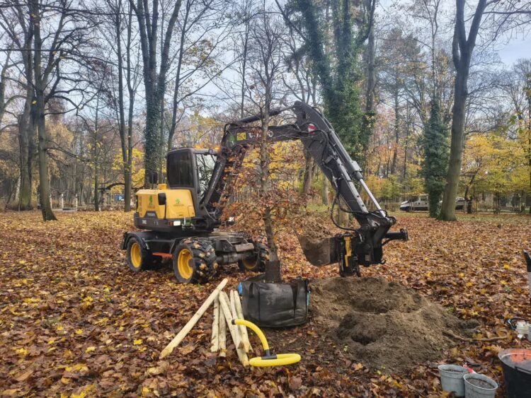 Sadzą drzewa. Łącznie będzie ich ponad 100 Radio Zachód - Lubuskie