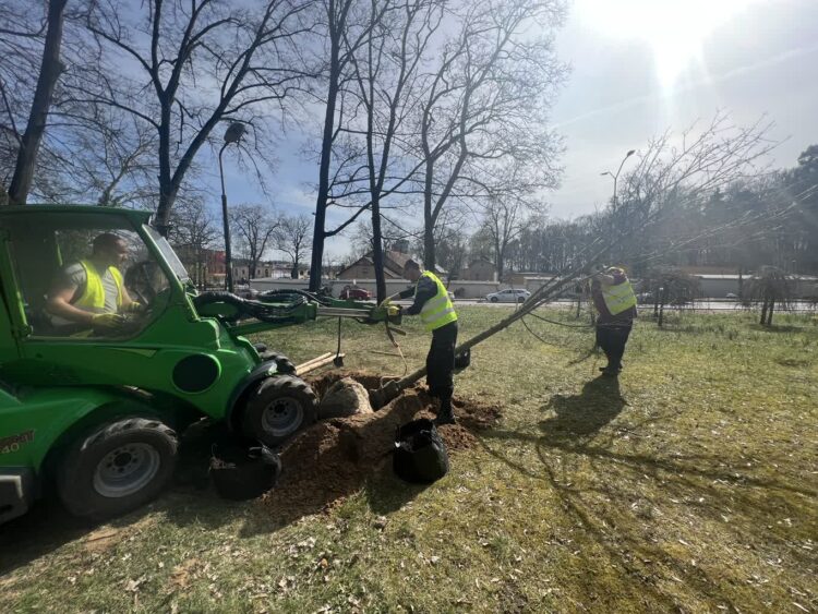 Jesienne nasadzenia w Gorzowie Radio Zachód - Lubuskie