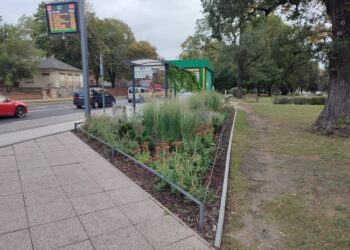 Co dalej z zielonymi przystankami w Gorzowie Wlkp.? Radio Zachód - Lubuskie