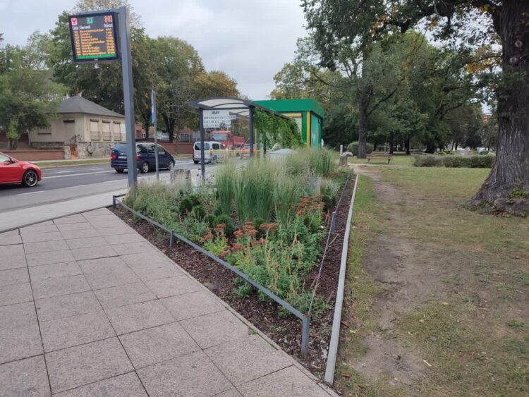 Co dalej z zielonymi przystankami w Gorzowie Wlkp.? Radio Zachód - Lubuskie