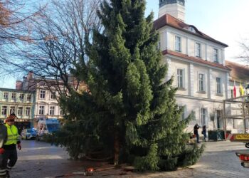 Na zielonogórskim deptaku pojawiła się choinka! Radio Zachód - Lubuskie