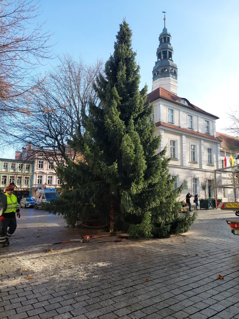 Na zielonogórskim deptaku pojawiła się choinka!