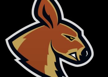 Młody, ale trudny rywal Kangoo Basket Radio Zachód - Lubuskie