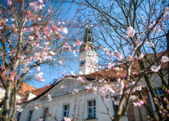 Plan ogólny dla Zielonej Góry: dyżury projektantów 12 Plan ogólny dla Zielonej Góry: dyżury projektantów Radio Zachód - Lubuskie