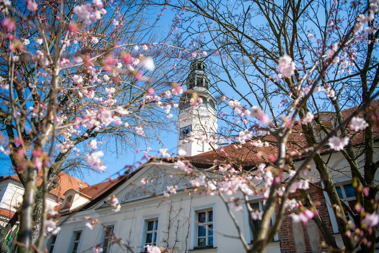 Plan ogólny dla Zielonej Góry: dyżury projektantów Radio Zachód - Lubuskie