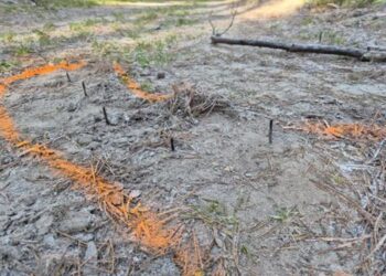 Na leśnej drodze ktoś powbijał cztery pasy wkrętów. Policja i leśnicy szukają sprawców 12 Fot. wymiarki.zielonagora.lasy.gov.pl
