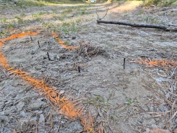 Na leśnej drodze ktoś powbijał cztery pasy wkrętów. Policja i leśnicy szukają sprawców 9 Fot. wymiarki.zielonagora.lasy.gov.pl