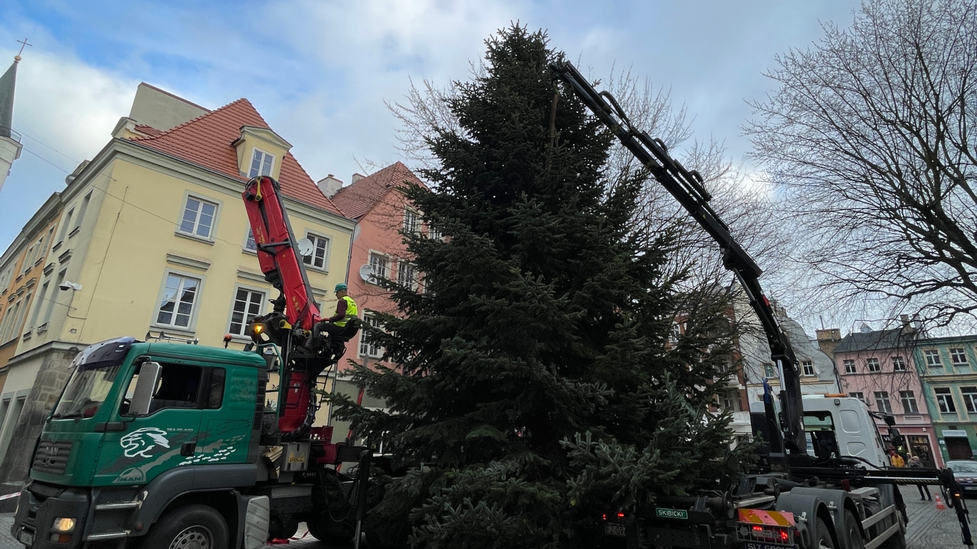 Choinka od leśników przyjedzie do Zielonej Góry Radio Zachód - Lubuskie