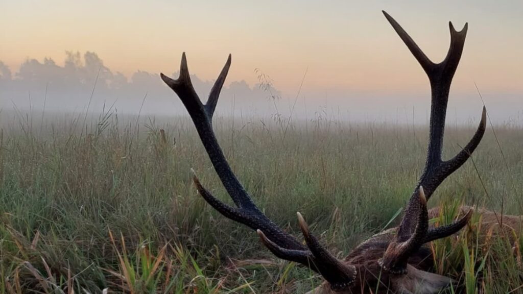 Myśliwi będą objęci obowiązkiem dorocznych szkoleń dot. bezpieczeństwa 3 Zdjęcie olustracyjne. Fot. ohzbytnica.pl