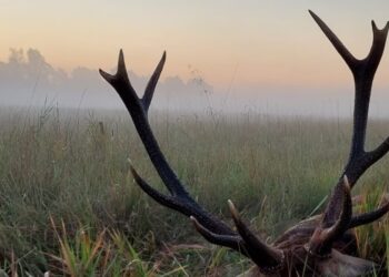 Zdjęcie olustracyjne. Fot. ohzbytnica.pl