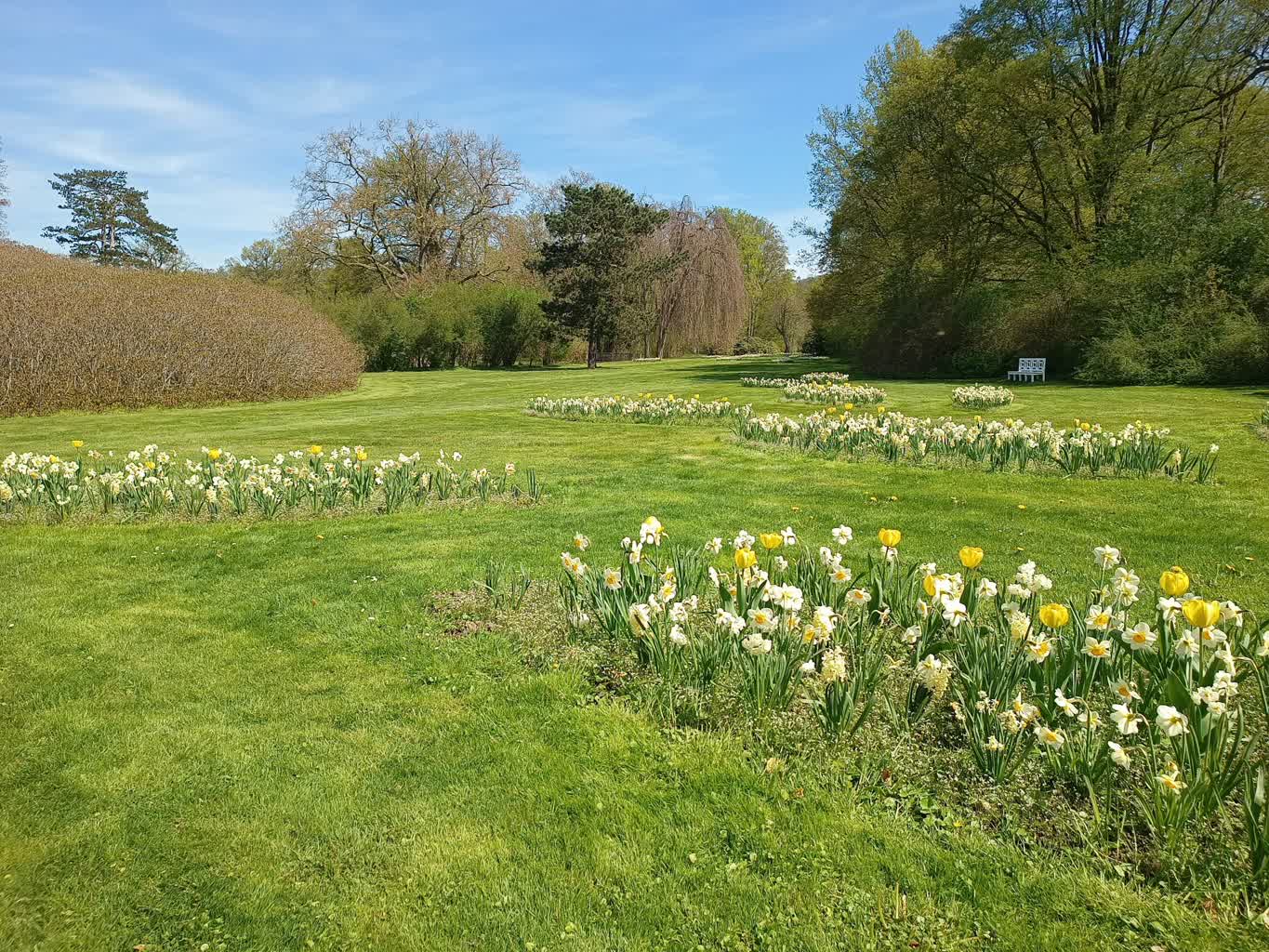 Żarski konkurs na stanowisko architekta krajobrazu