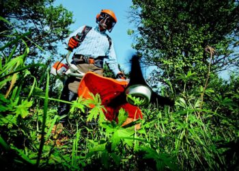 Koszenie terenów zielonych – Zielona Góra patrzy na Wrocław Radio Zachód - Lubuskie