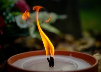 1 listopada w historii Zielonej Góry Radio Zachód - Lubuskie