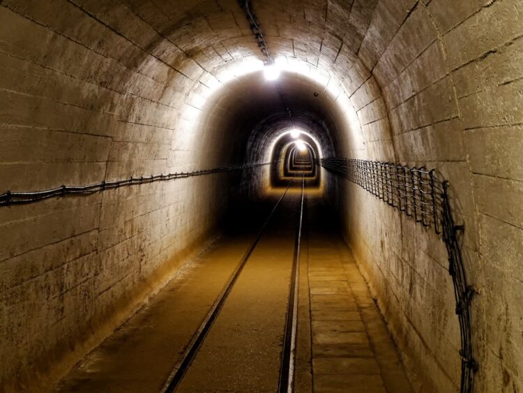 fot. Muzeum Fortyfikacji i Nietoperzy w Pniewie