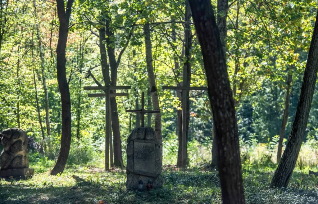 Zdjęcie ilustracyjne Fot. PAP/Vladyslav Musiienko