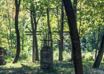 Zdjęcie ilustracyjne Fot. PAP/Vladyslav Musiienko