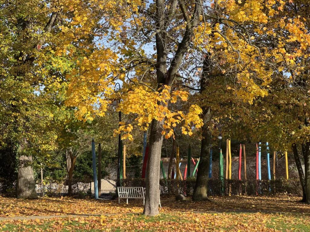 Posadzą drzewka przy miejskich placach zabaw w Żarach fot. UM Żary