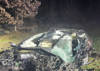 Fot. Komenda Powiatowa Państwowej Straży Pożarnej w Sulęcinie/FB