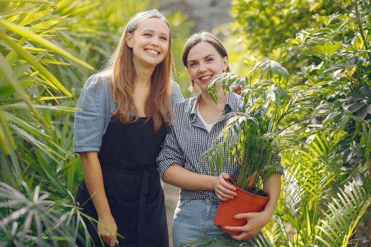 Lubuskie Laboratorium Książki zaprasza na warsztaty ogrodnicze 9 Foto: Freepik